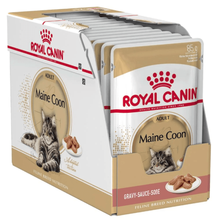 rc-adult-maine coon1.png