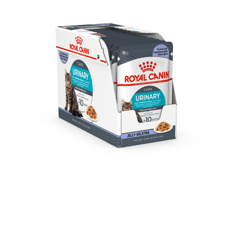 rc-cat-pouch-urinary.png