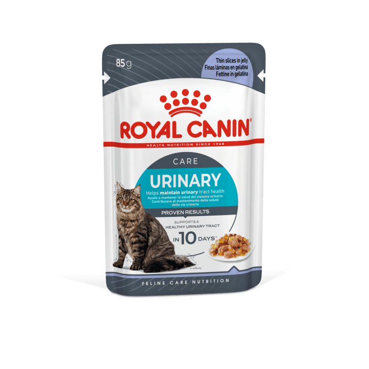 rc-cat-pouch-urinary1.png