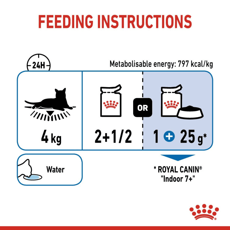 rc-cat-indoor sterlized-85g2.png
