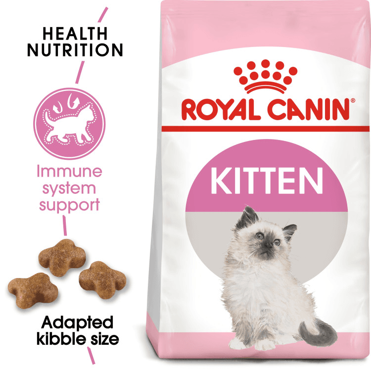 rc-cat-kitten1.png