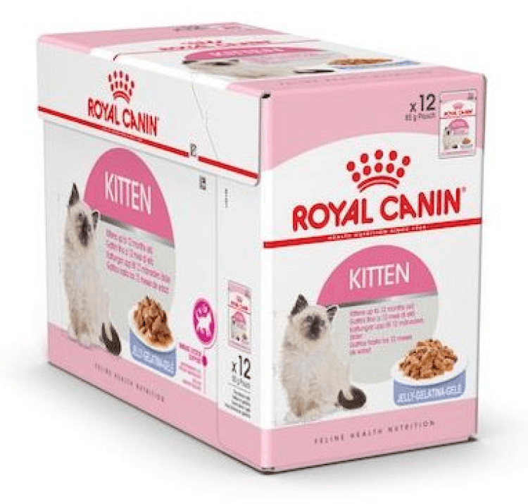 rc-cat-kitten-jelly.png