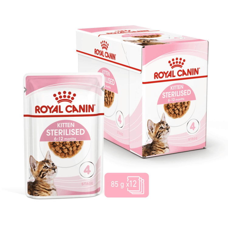 rc-cat-kitten sterlized-gravy1.png
