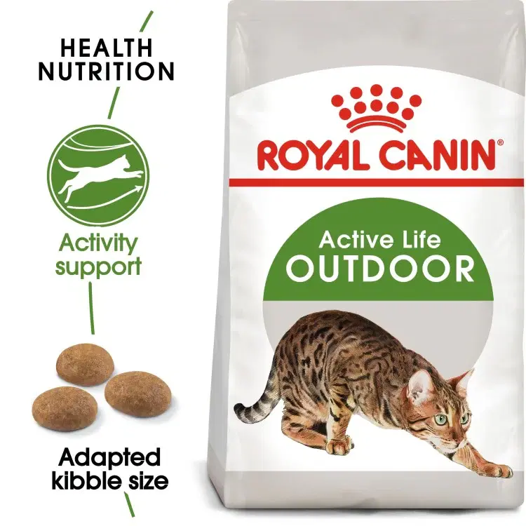 rc-cat-outdoor1.webp