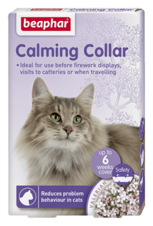beapher-cat-collar.png
