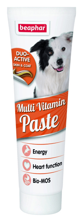 Main product