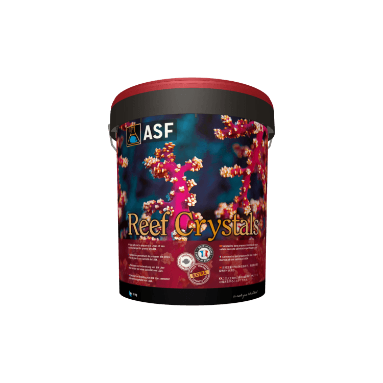 Main product