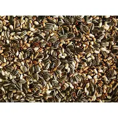 farma-finch mix.webp