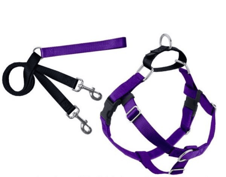 2-Freedom No-Pull Harness and Leash - Purple.png